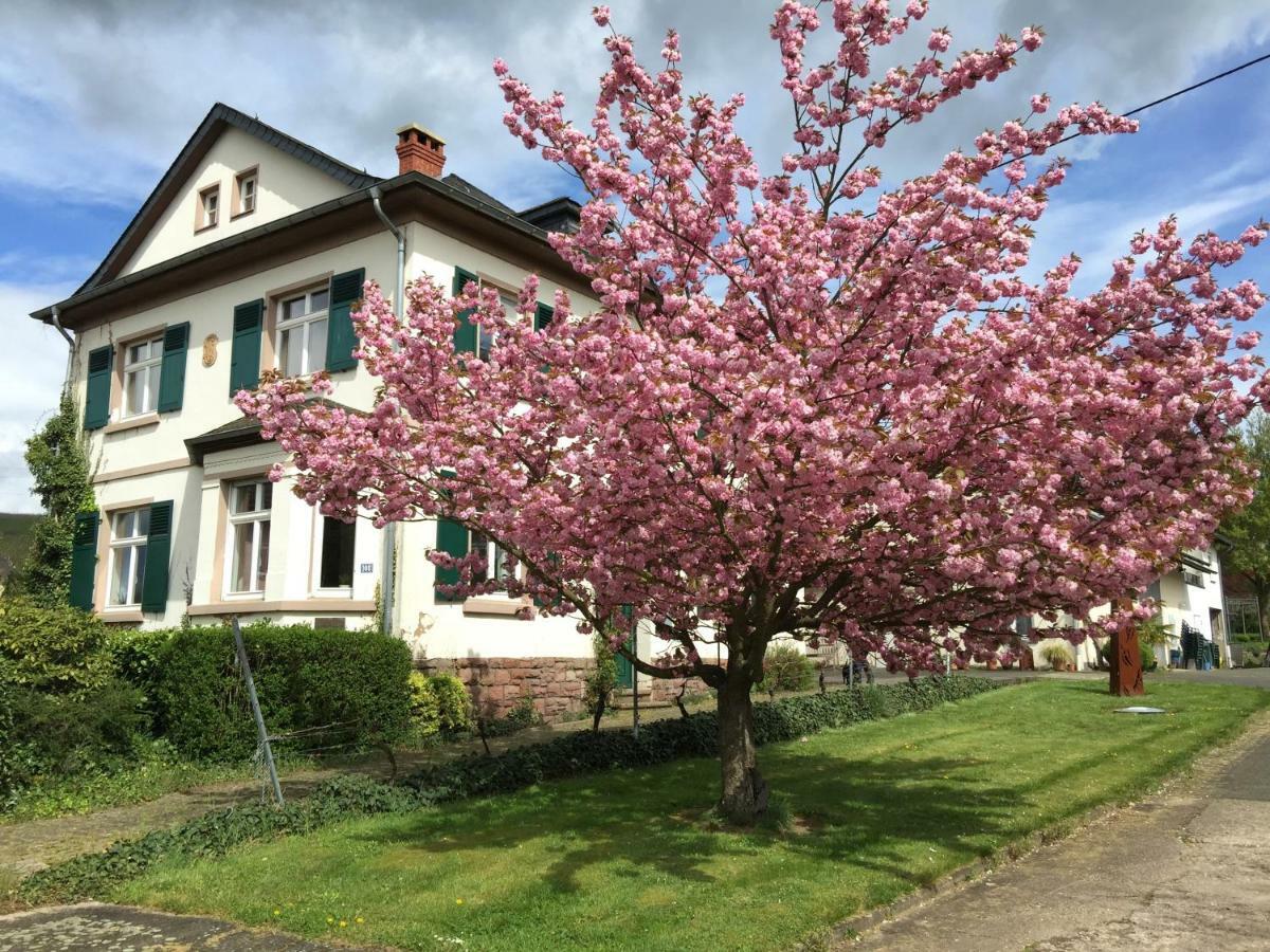 Ferienbungalow Kampenheissji Wiltingen Exterior photo